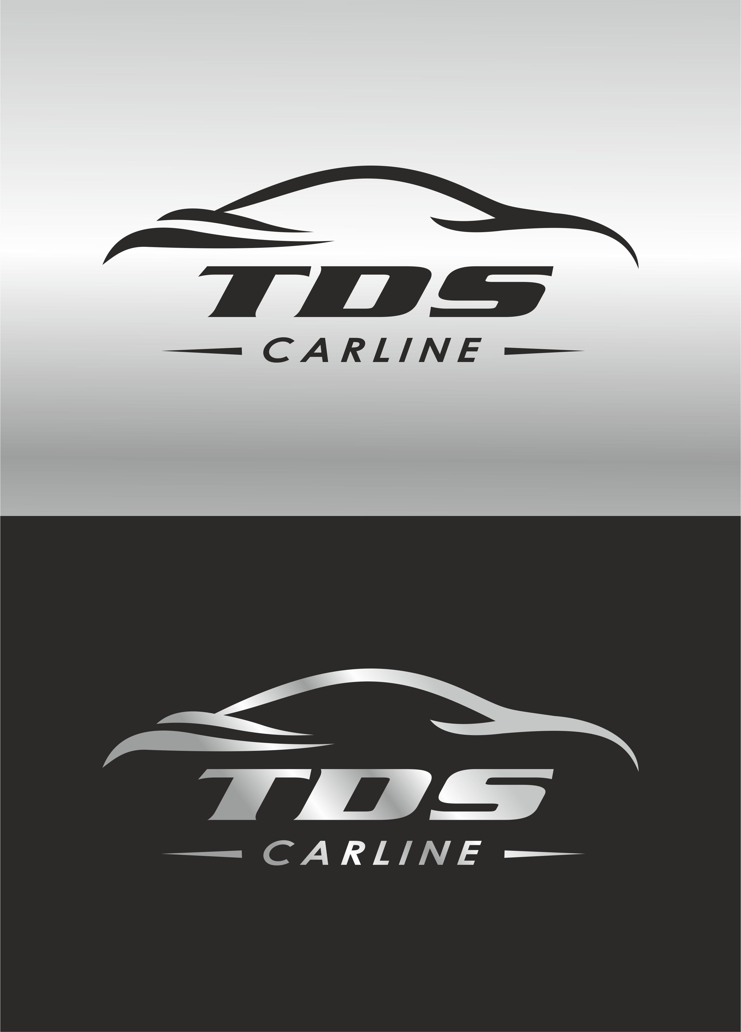 TDS CARLINE_LOGO teliko.jpg